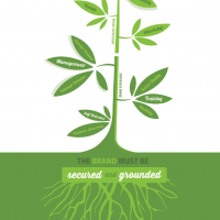 4 Ways Professional Branding Improves Canna-Businesses Screen Shot 2015-11-20 at 2.22.44 PM